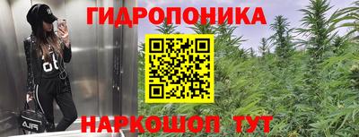 ГАЛЛЮЦИНОГЕННЫЕ ГРИБЫ Нарткала