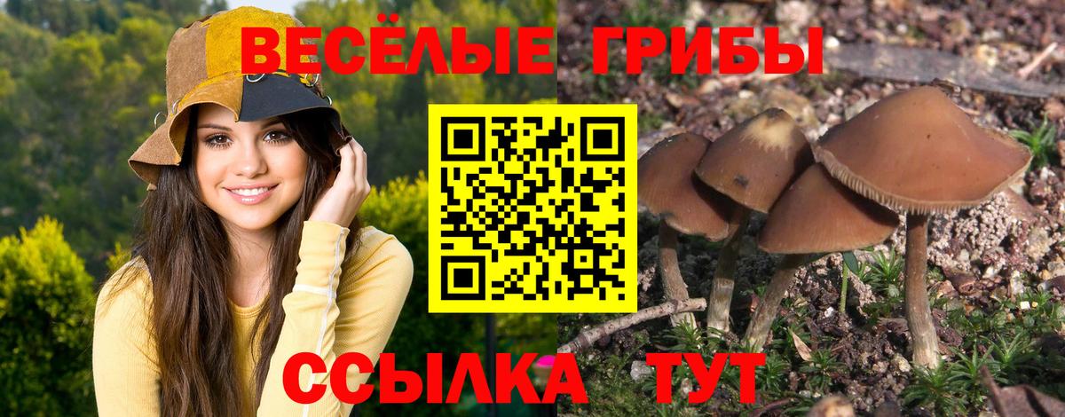Галлюциногенные грибы GOLDEN TEACHER Ростов Великий